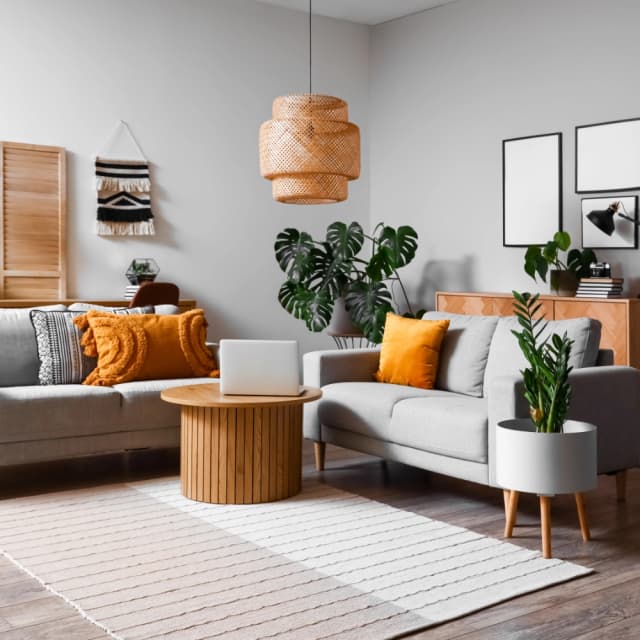 Home & Kitchen
